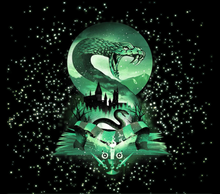 Load image into Gallery viewer, Harry Potter - houses