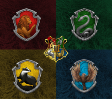 Load image into Gallery viewer, Harry Potter - houses