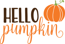Load image into Gallery viewer, Fall Pumpkin everything