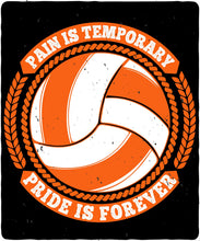 Load image into Gallery viewer, Volleyball