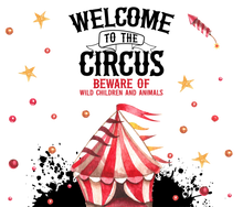 Load image into Gallery viewer, Sarcastic Tumblers