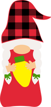 Load image into Gallery viewer, Grandma Gnomes