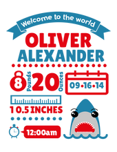 Load image into Gallery viewer, Birth Announcements