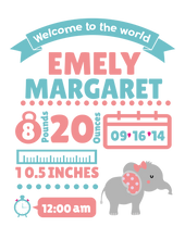 Load image into Gallery viewer, Birth Announcements