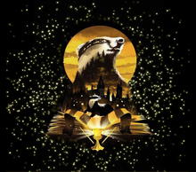 Load image into Gallery viewer, Harry Potter - houses
