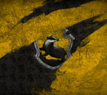 Load image into Gallery viewer, Harry Potter - houses
